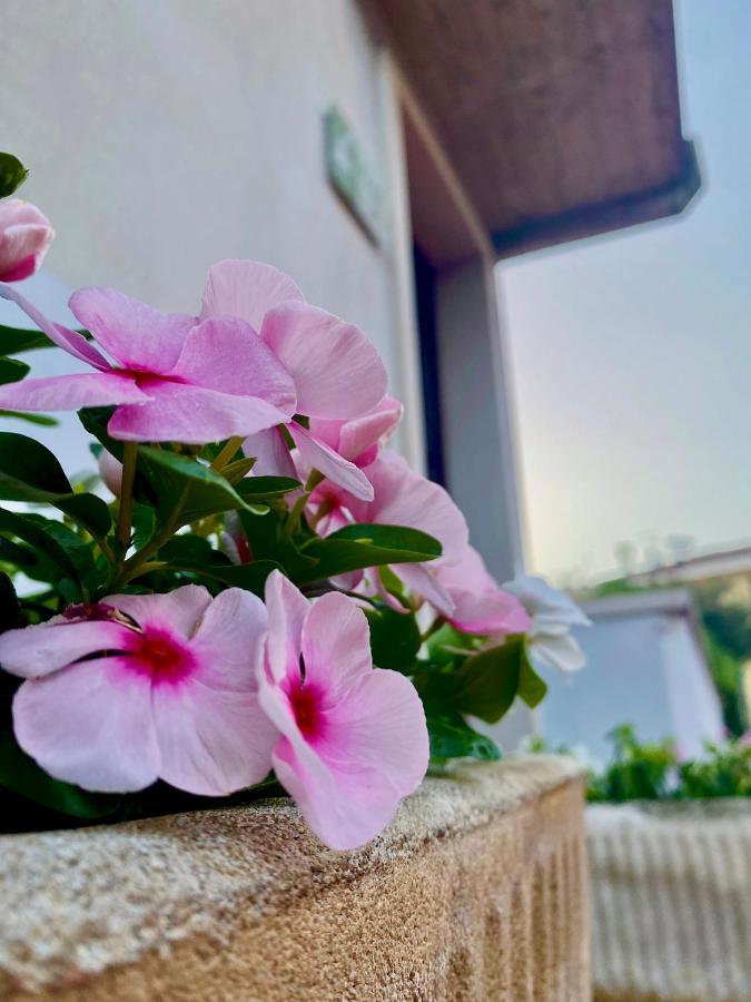 Casa Rachele Apartment Μπαρντολίνο Εξωτερικό φωτογραφία